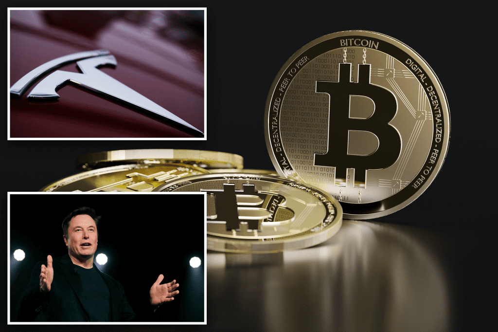 Justin Sun Thanks Elon Musk's "Paper Hand" For Selling Bitcoin