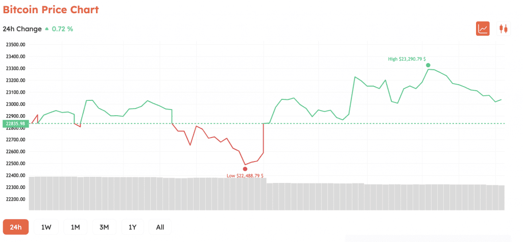 Overview BTC Market