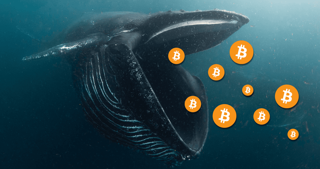 Bitcoin (BTC) continues to skyrocket to $23,800, is the rumour that the 3rd largest whale is about to "discharge" 61,000 BTC?