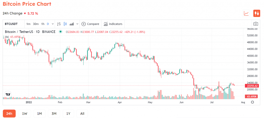 F. Grummes Predicts That The Following Bitcoin Bull Run Will Occur In A Year 3 F. Grummes Predicts That The Following Bitcoin Bull Run Will Occur In A Year