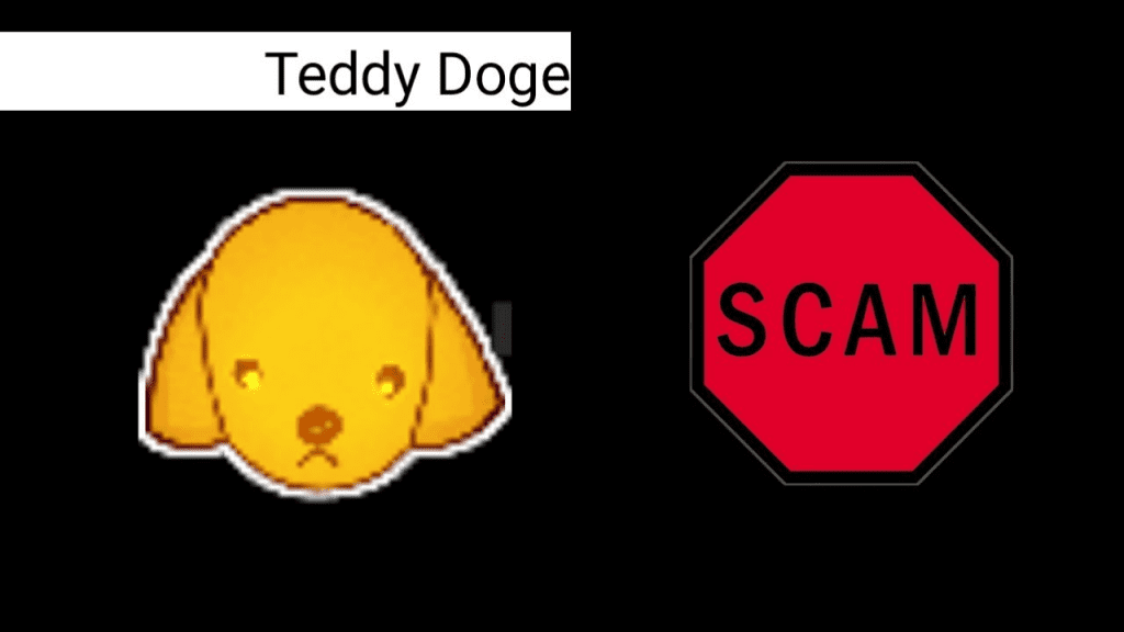 TEDDY