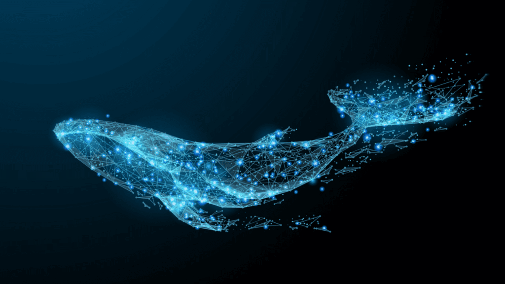 How Does Bitcoin Wallet Make $3 Billion In 3 Days? 1 bitcoin wallet
