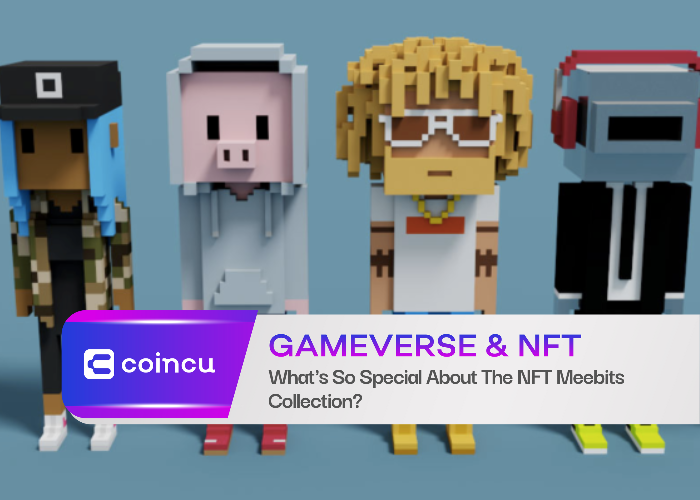 What's So Special About The NFT Meebits Collection?