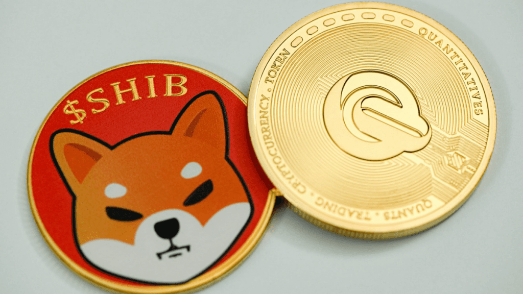 Long-term Shiba Inu Holders Are Increasing