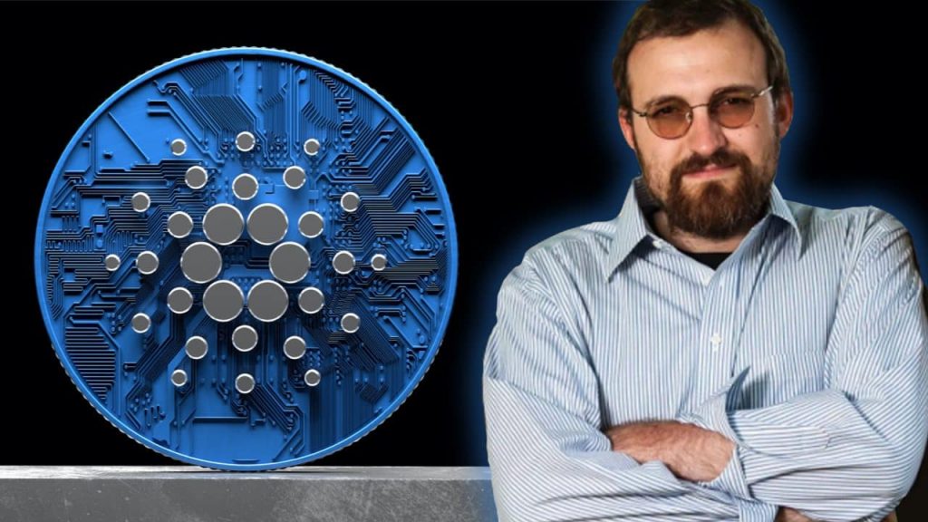 Cardano Whales Acquire $138 Million In ADA