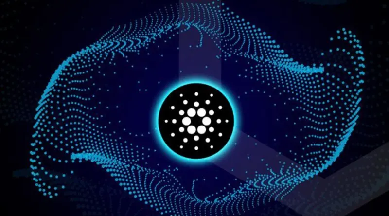What Is Going On With The Vasil Hard Fork And Cardano's Testnet?