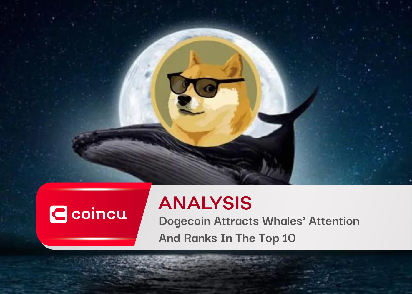 Dogecoin Attracts Whales Attention