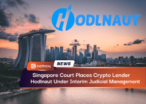 Hodlnaut Under Interim Judicial Management