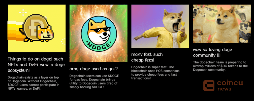 What Is Dogechain? | NFTs, Games, and DeFi for Dogecoin users