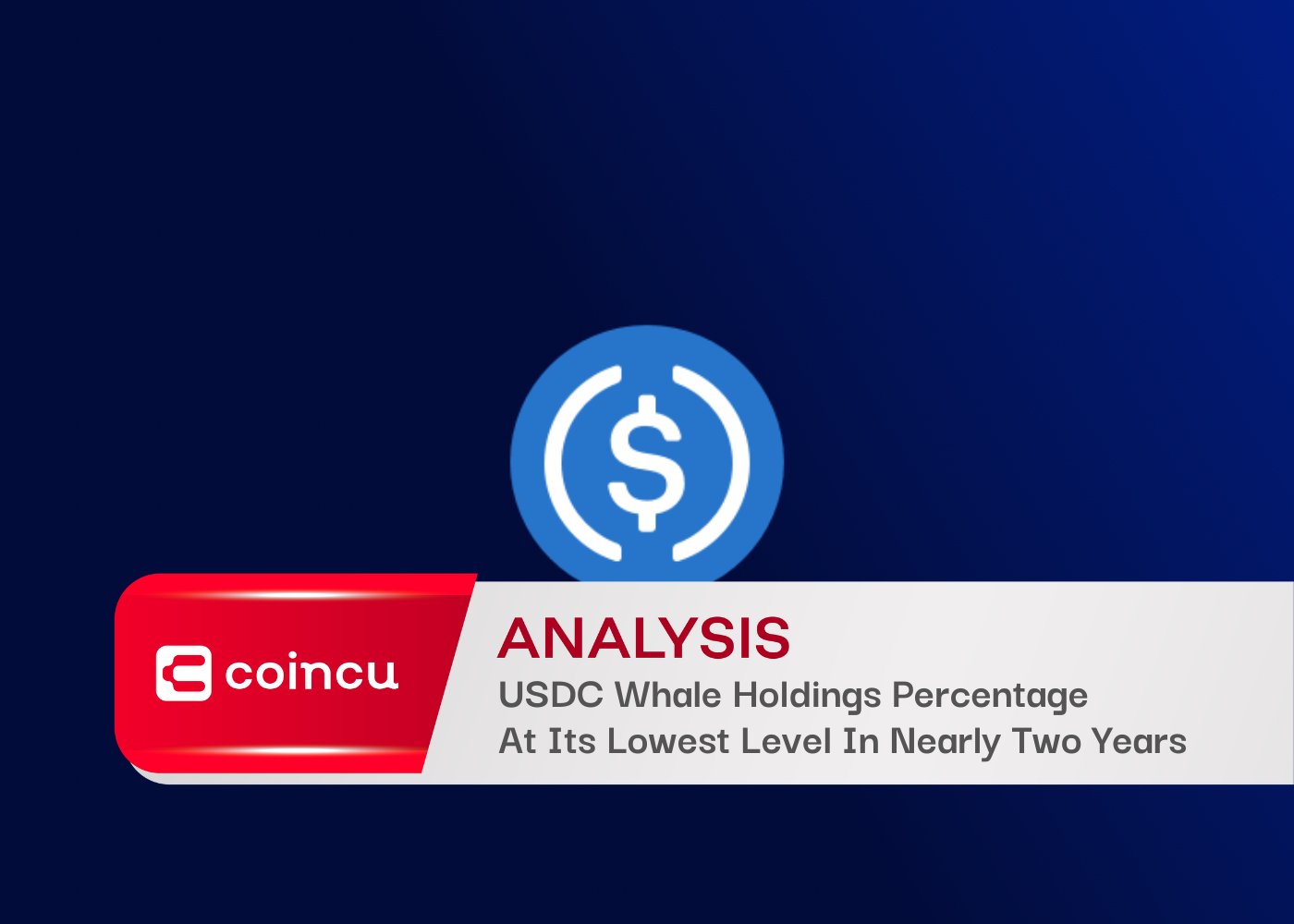 USDC Whale Holdings Percentage
