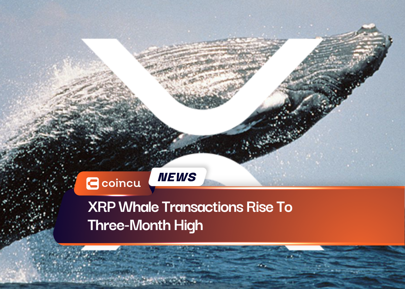 XRP Whale Transactions Rise To Three-Month High