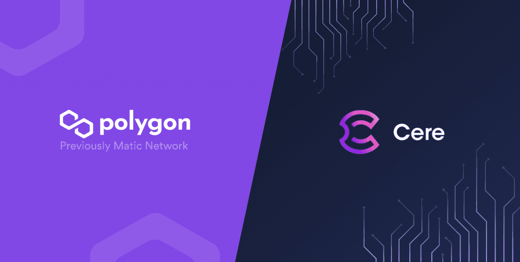 Polygon And Cere Network Founders Announced A $50 Million Web3 Fund