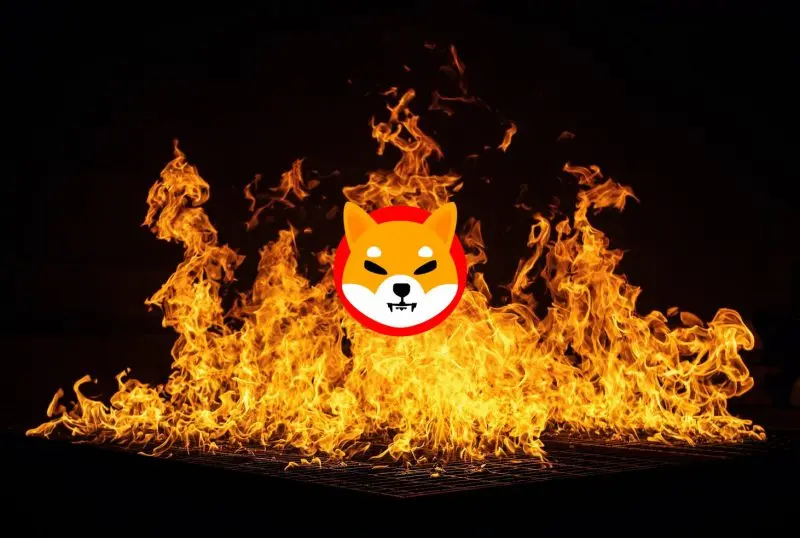 While 105 Million Shiba Inu Are Removed, A New SHIB Burn Portal Is Found 2 While 105 Million Shiba Inu Are Removed, A New SHIB Burn Portal Is Found