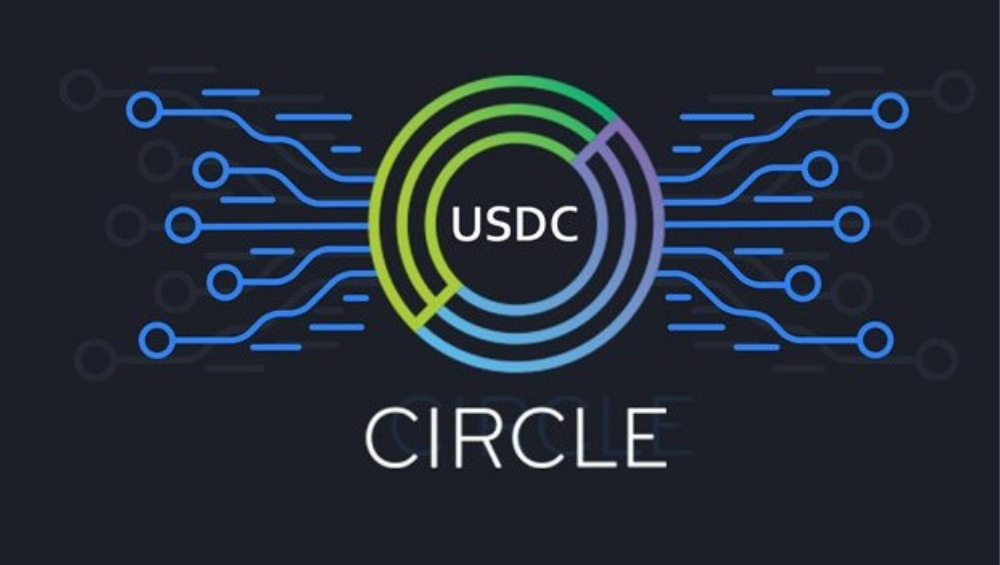 USDC Whale Holdings Percentage At Its Lowest Level In Nearly Two Years
