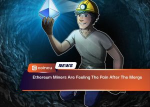 Ethereum Miners after the Merge