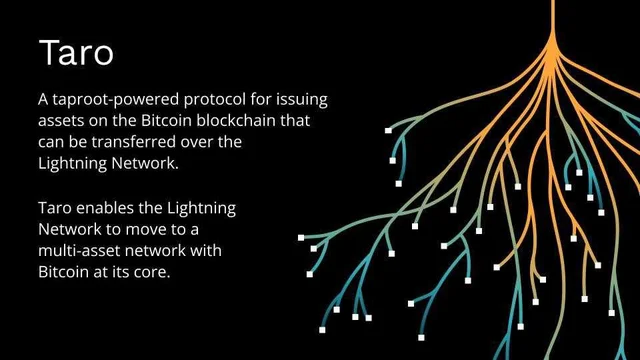 Lightning Labs Publishes The First Taro Protocol Code 2 Lightning Labs Publishes The First Taro Protocol Code
