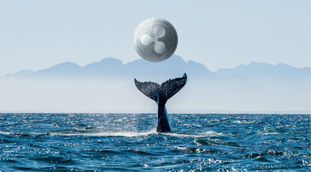 Ripple Transfers 100 Million To Unidentified Wallet After Selling 30 Million XRP 3 Ripple Transfers 100 Million To Unidentified Wallet After Selling 30 Million XRP