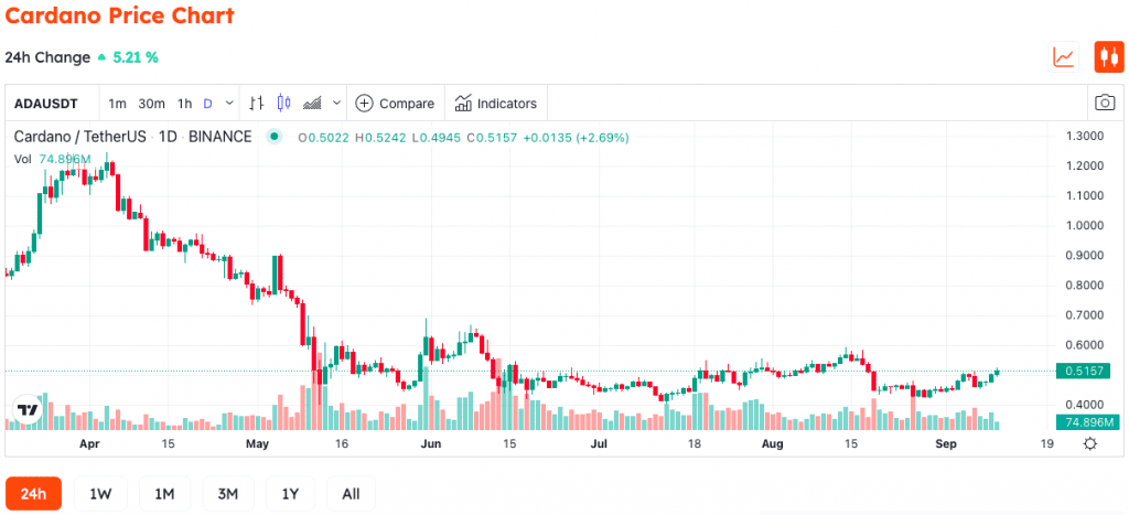 Coin Bureau Host: Cardano Price Could 2X In Short To Medium Term