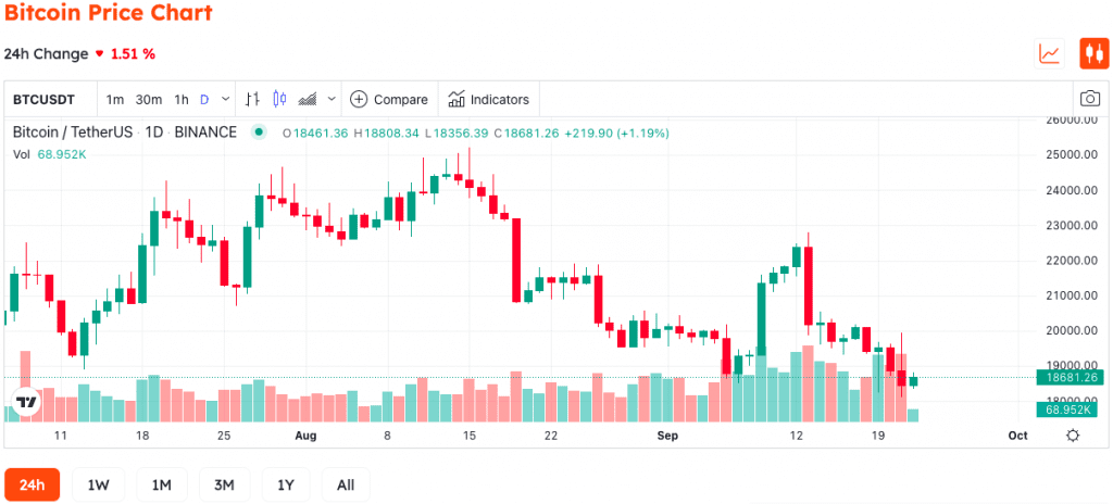 Pantera CEO Believes Crypto Will Achieve Literally Billions Of Users In The Years To Come