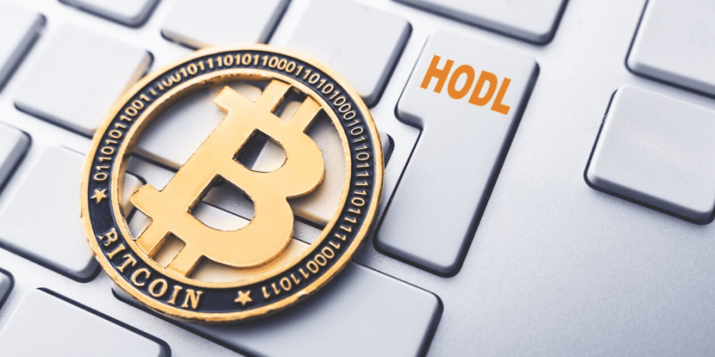 62% Bitcoin Remains Firmly In HODLer Wallet Despite Crypto Winter