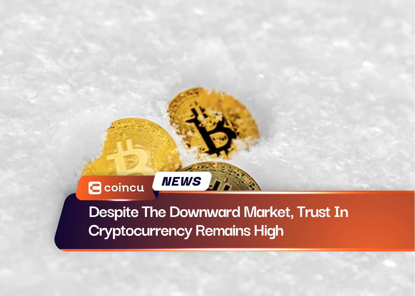 Despite The Downward Market, Trust In Cryptocurrency Remains High