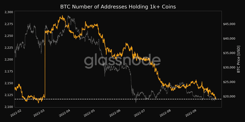 The Number Of Wallet Addresses Holding 1,000 Bitcoins Is Approaching The Lowest Level