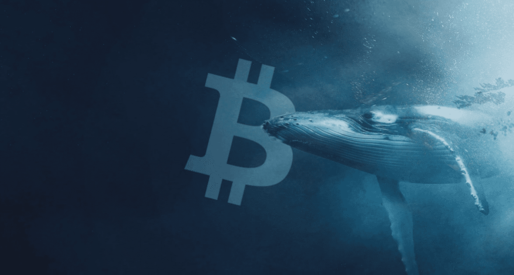 6,000 Bitcoins Outflows From Binance In Single Transaction
