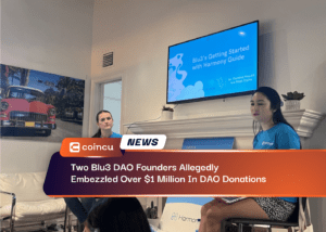 Two Blu3 DAO Founders Allegedly Embezzled Over $1 Million In DAO Donations
