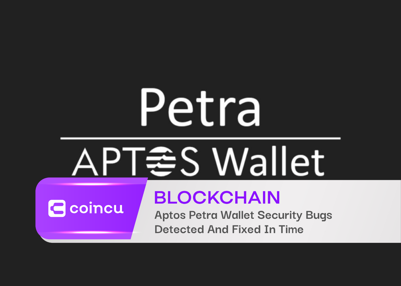 Aptos Petra Wallet Security Bugs Detected And Fixed In Time