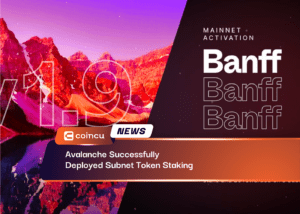 Avalanche Successfully Deployed Subnet Token Staking
