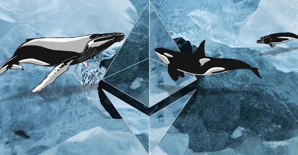 Dormant Whale Wallet Increases Ethereum By 8% After This Action 1 Dormant Whale Wallet Increases Ethereum By 8% After This Action