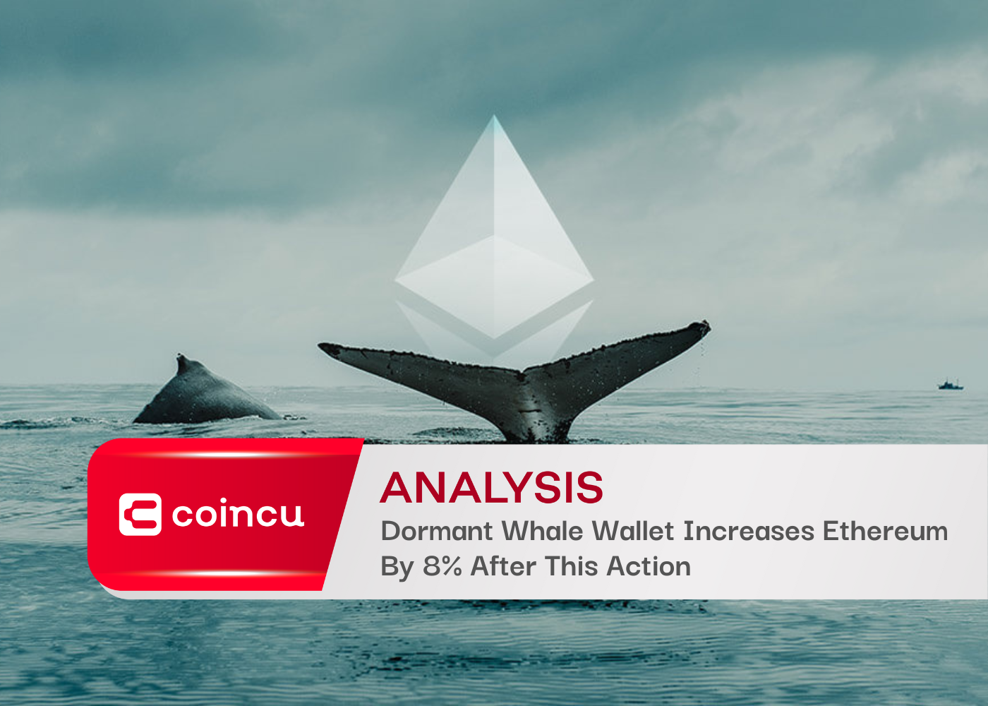 Dormant Whale Wallet Increases Ethereum By 8