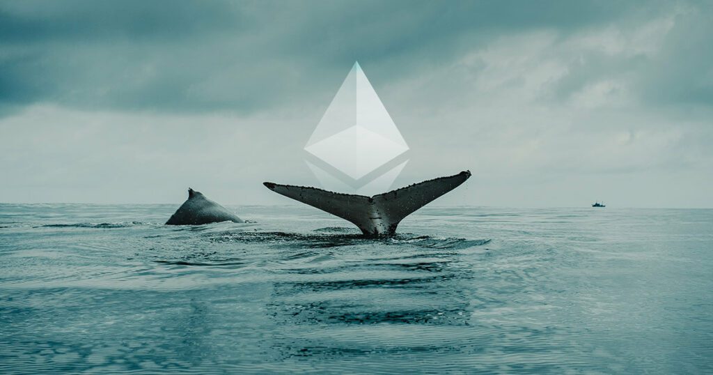 Dormant Whale Wallet Increases Ethereum By 8% After This Action 2 Dormant Whale Wallet Increases Ethereum By 8% After This Action