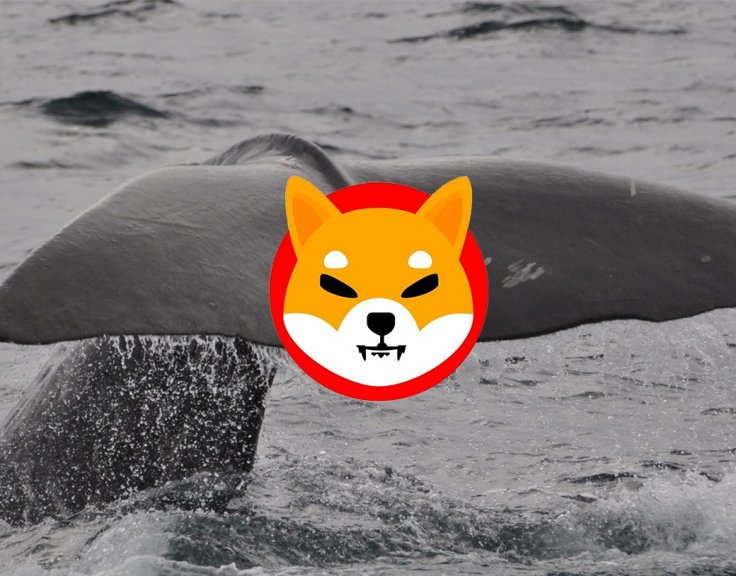 New Shiba Inu Whale Was Born, Holding 3.3 Trillion Coins 2 New Shiba Inu Whale Was Born, Holding 3.3 Trillion Coins