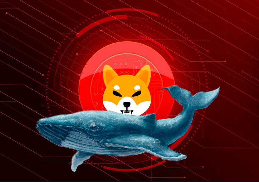 New Shiba Inu Whale Was Born, Holding 3.3 Trillion Coins 1 New Shiba Inu Whale Was Born, Holding 3.3 Trillion Coins