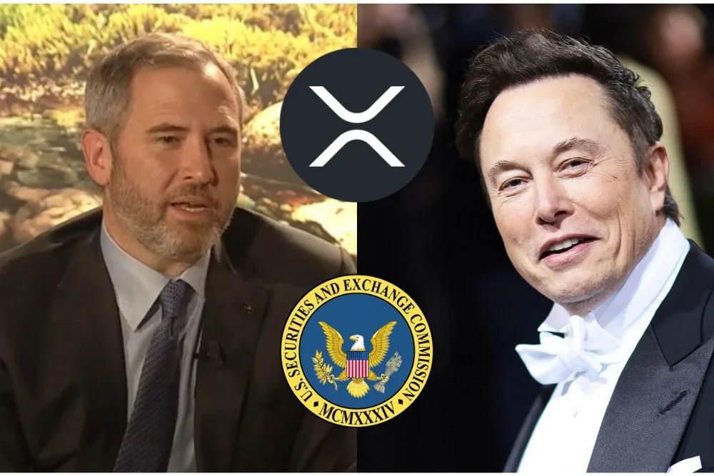 Ripple CEO Says You'll Be Shocked By SEC's "Shamefulness" 1 Ripple CEO Says You'll Be Shocked By SEC's "Shamefulness"