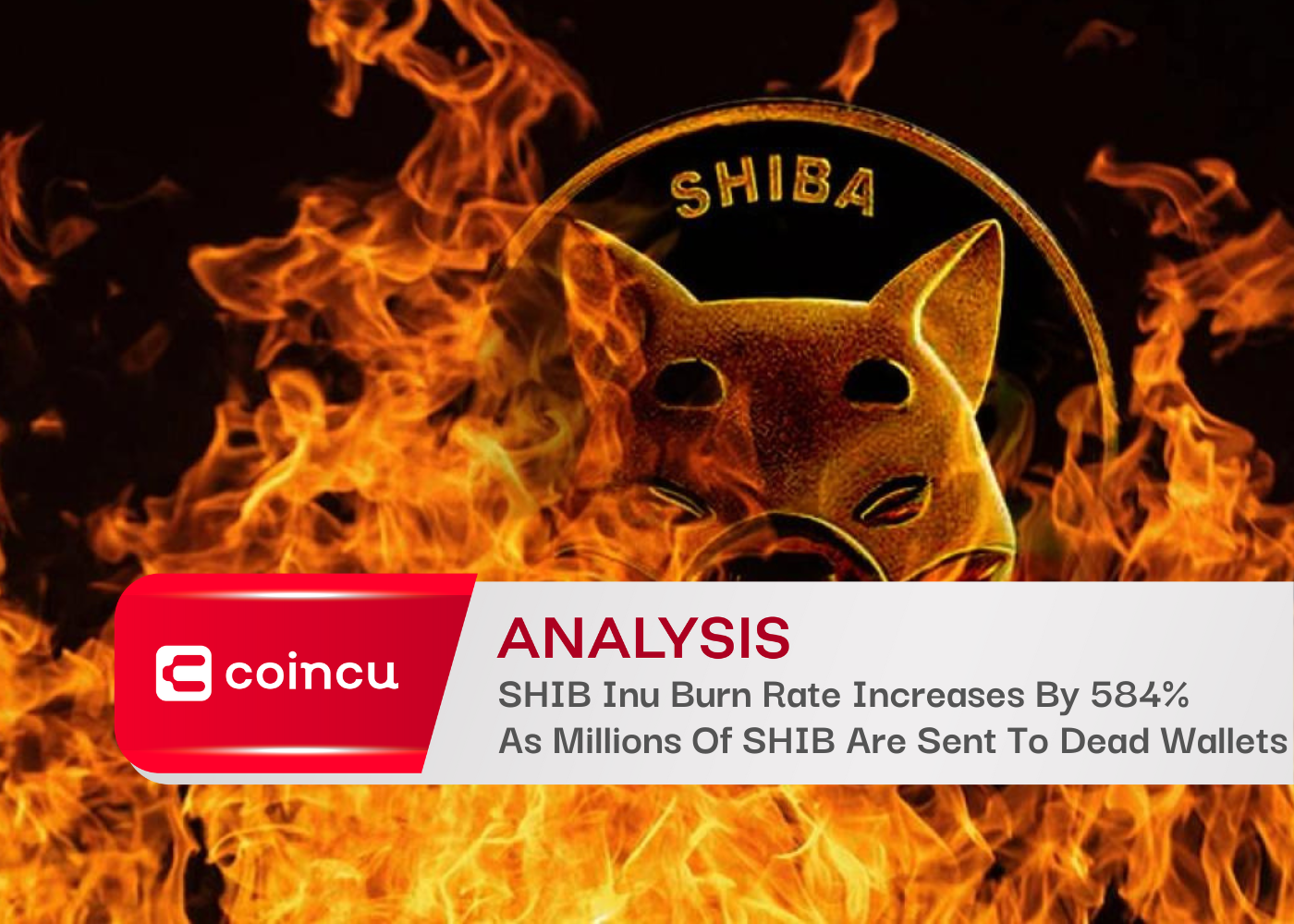 SHIB Inu Burn Rate Increases By 584