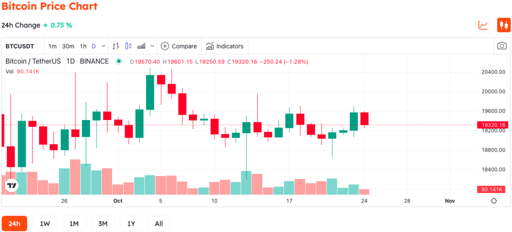 Cathie Wood Became A Bitcoin HODLer When Its Price Was $250 3 Cathie Wood Became A Bitcoin HODLer When Its Price Was $250