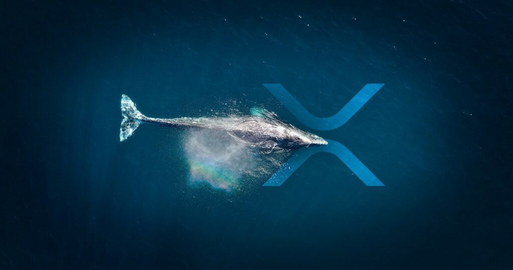 XRP Whales Transfer 313 Million XRP In Single Fell Swoop 2 XRP Whales