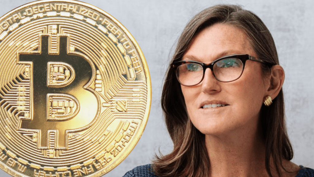 Cathie Wood Became A Bitcoin HODLer When Its Price Was $250 1 Cathie Wood Became A Bitcoin HODLer When Its Price Was $250
