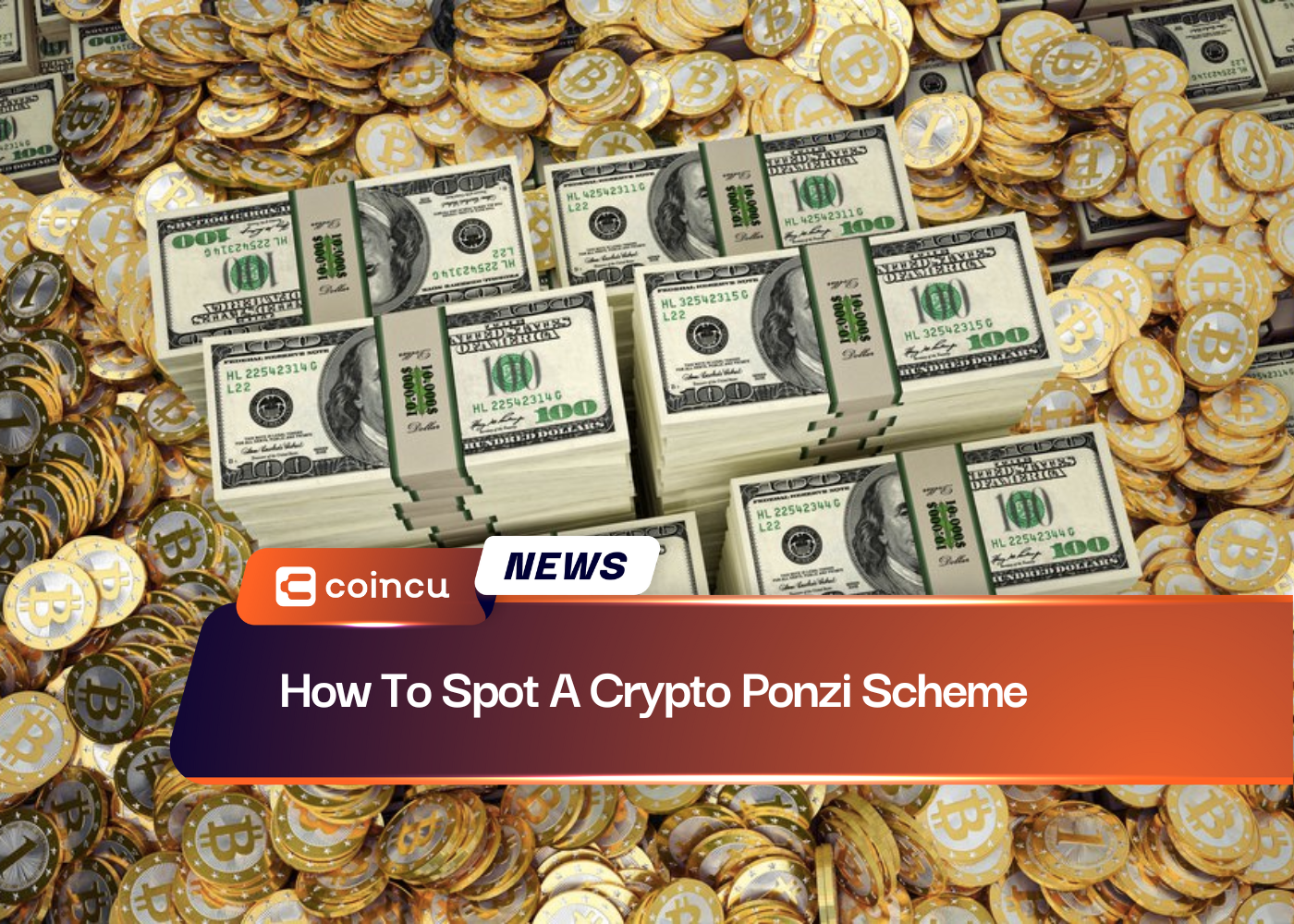 How To Spot A Crypto Ponzi Scheme