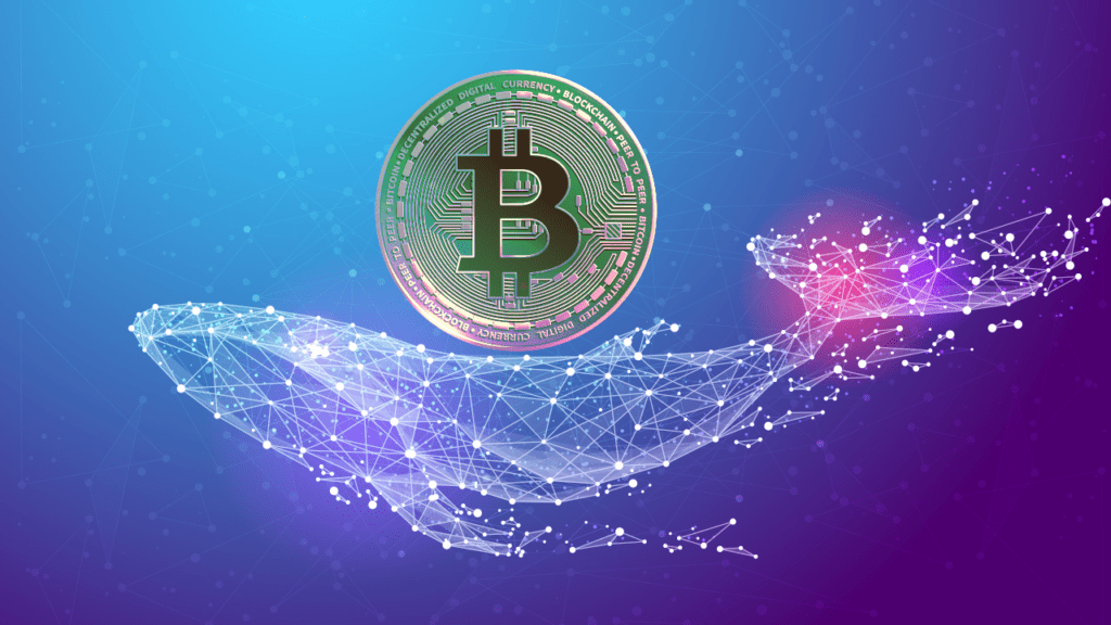 A Whale Has Been Actively Accumulating Bitcoin Since Mid-September Despite The Bear Market 1 A Whale Has Been Actively Accumulating Bitcoin Since Mid-September Despite The Bear Market