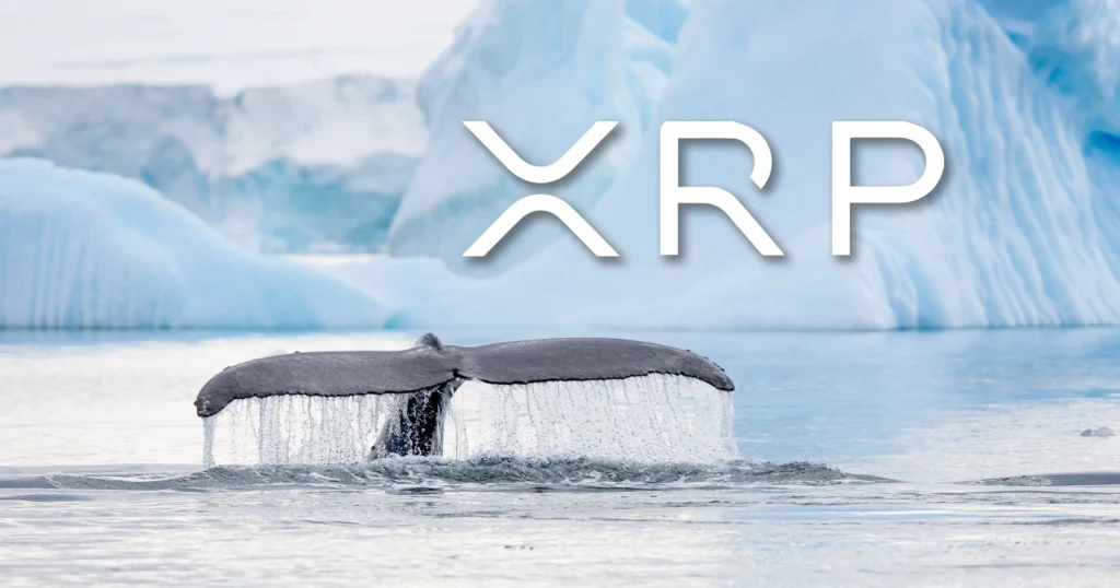 XRP Whales Transfer 313 Million XRP In Single Fell Swoop 1 XRP Whales