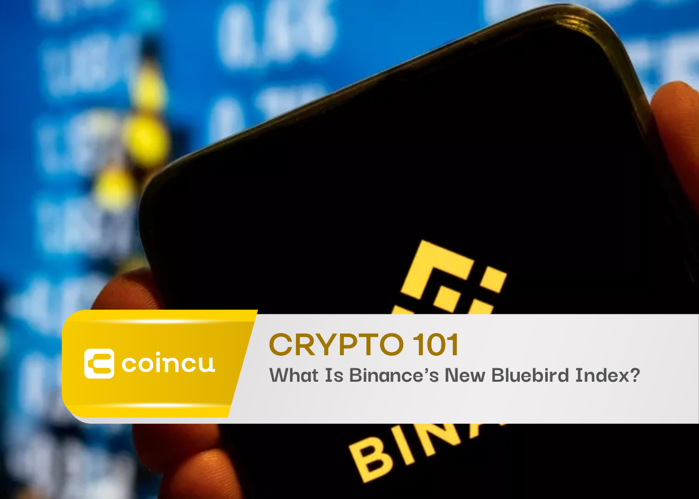 What Is Binance's New Bluebird Index?