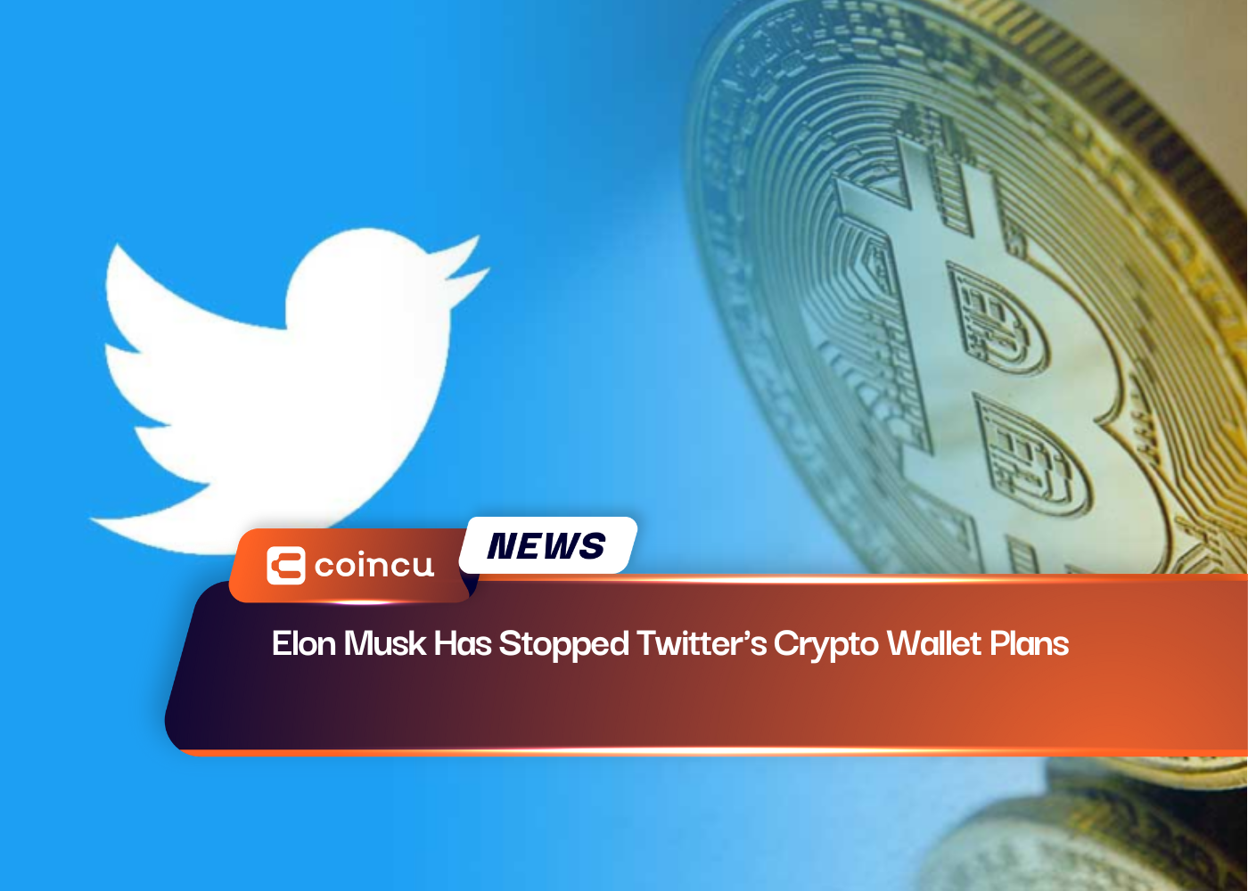 Elon Musk Has Stopped Twitter's Crypto Wallet Plans