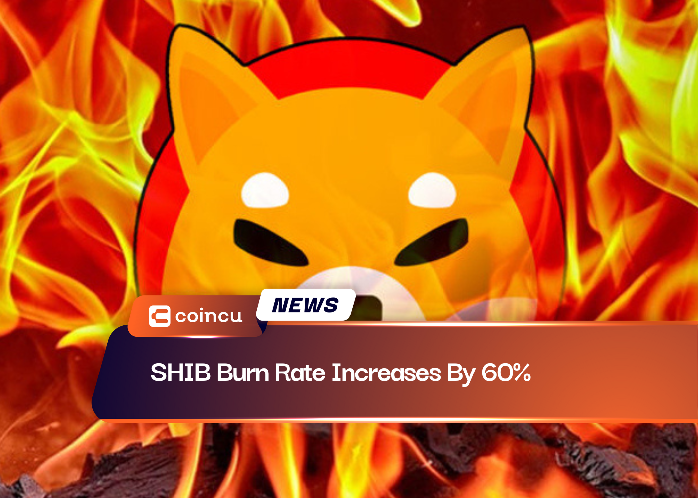 SHIB Burn Rate Increases By 60%