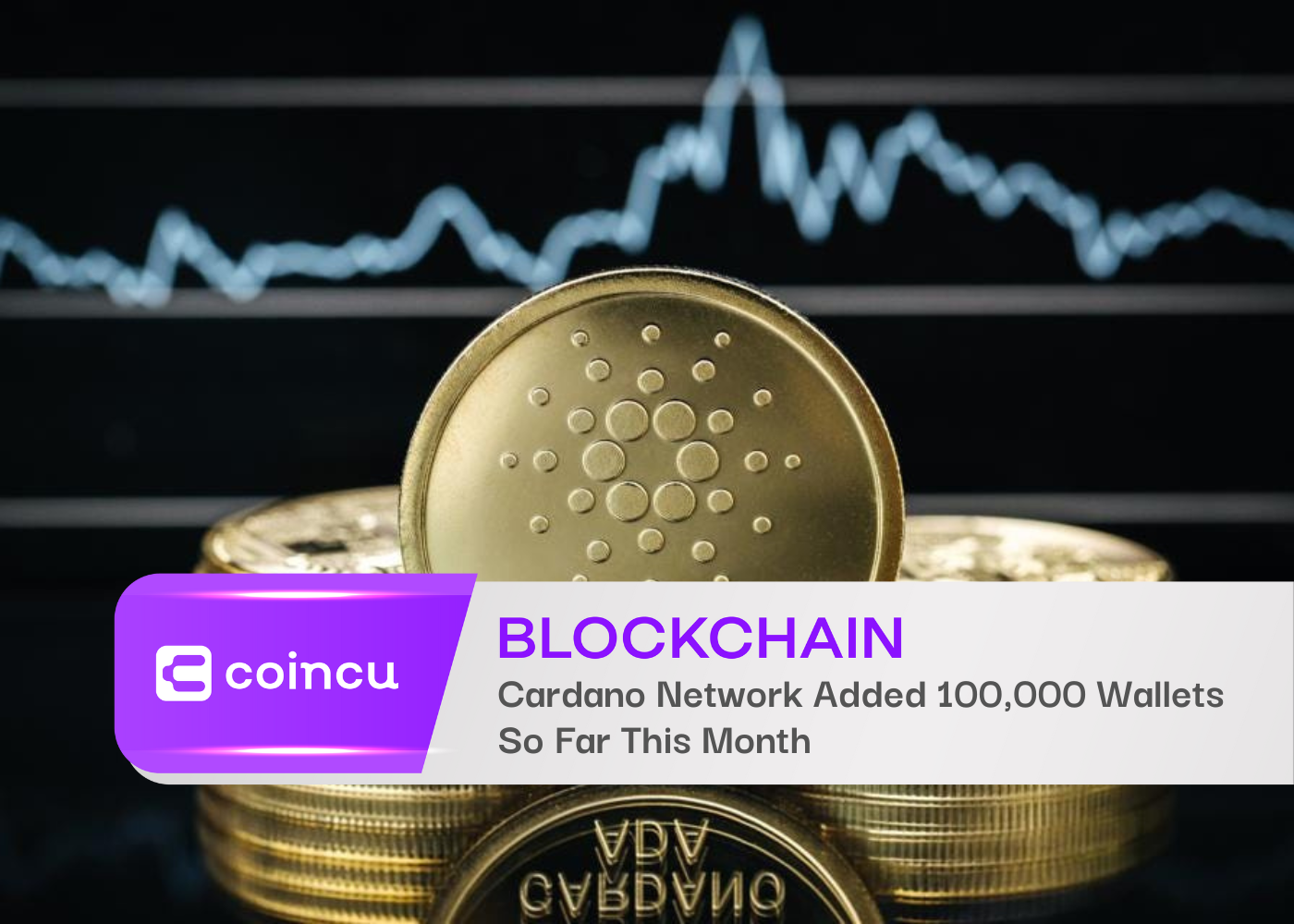 Cardano Network Added 100000 Wallets