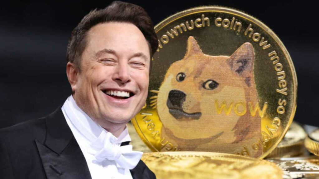 Dogecoin's Volatility Rose As Result Of The Twitter Drama