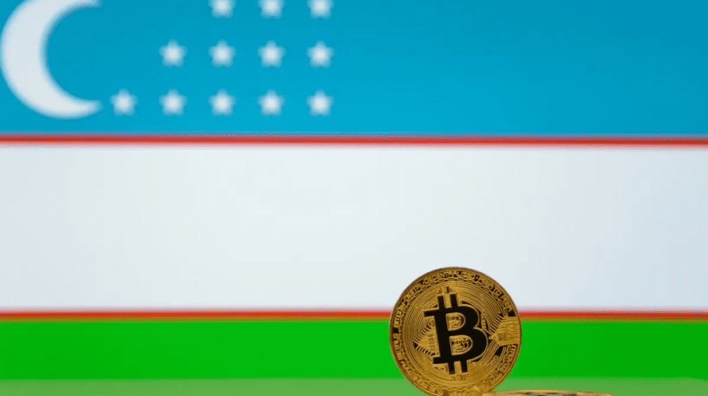 Uzbekistan Allows First 2 Crypto Companies To Provide Services