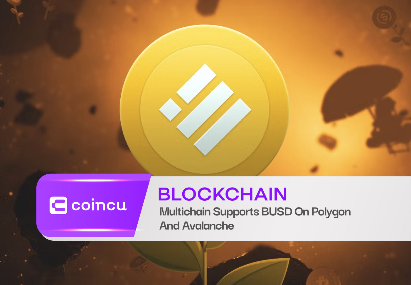 Multichain Supports BUSD On Polygon And Avalanche